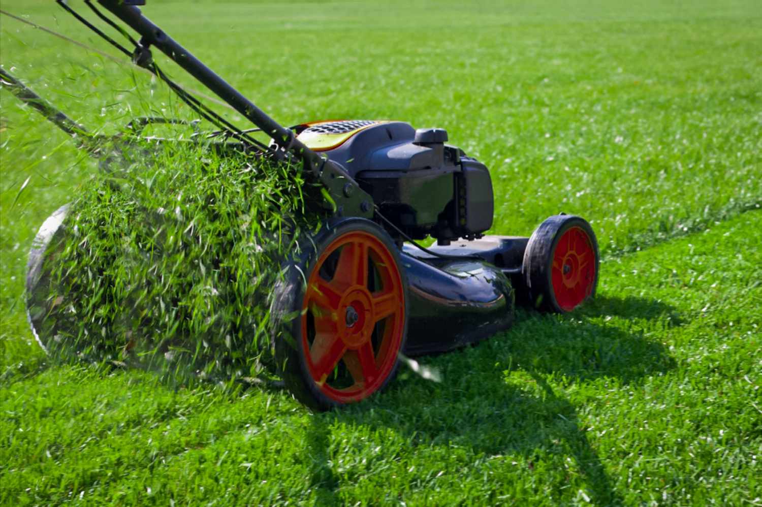 Affordable Landscaping Services Without Compromising on Quality