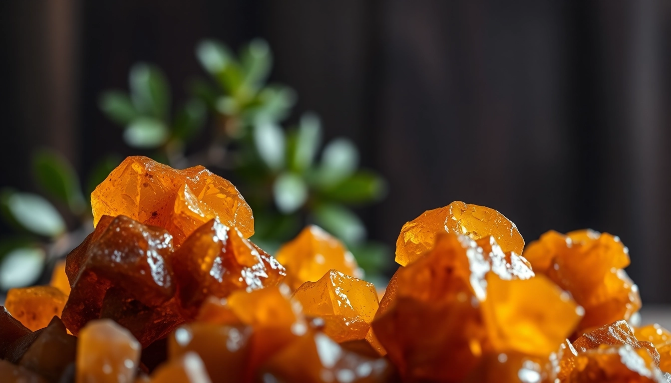Découvrez la résine de myrrhe brillante avec des cristaux ambre sur un fond sombre.